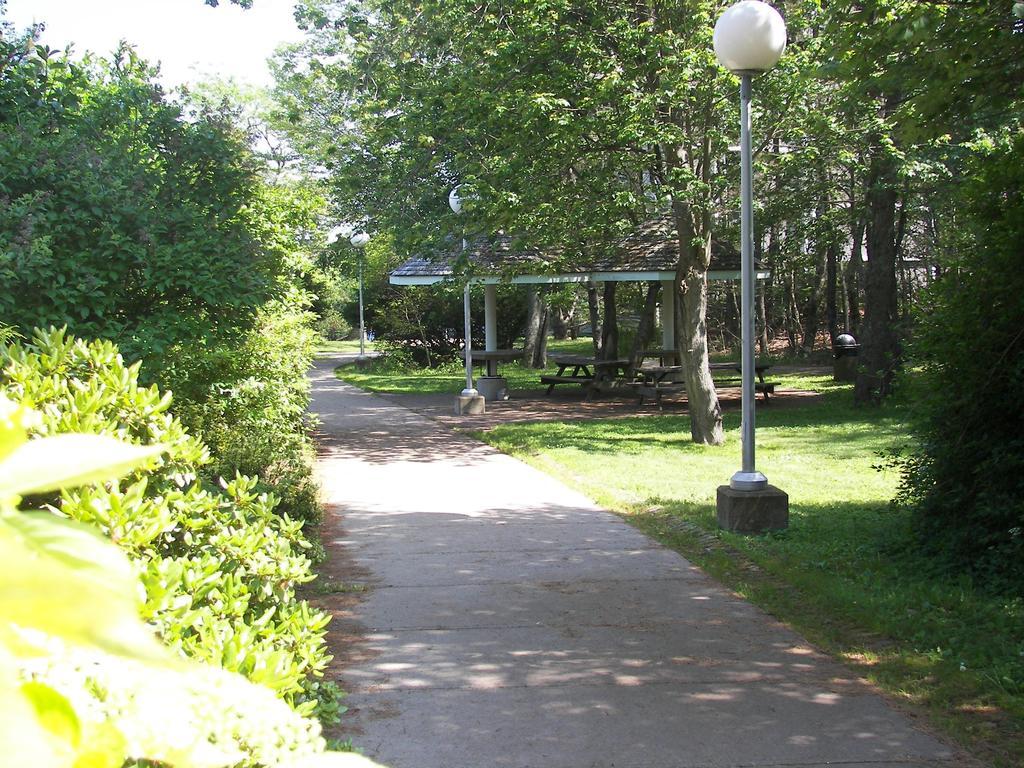 Mount Saint Vincent University Χάλιφαξ Εξωτερικό φωτογραφία